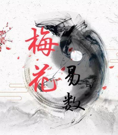 《梅花易数》是古代汉族占卜法之一(图)