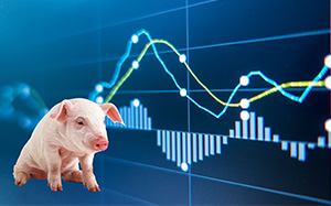 （猪易数据）今日生猪外三元呈现涨跌调整的趋势